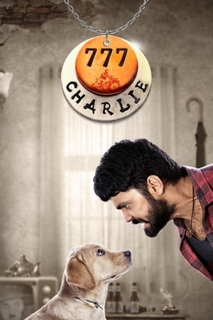 777 Charlie 2022 Hindi Audio WEB-DL 1080p - 720p - 480p