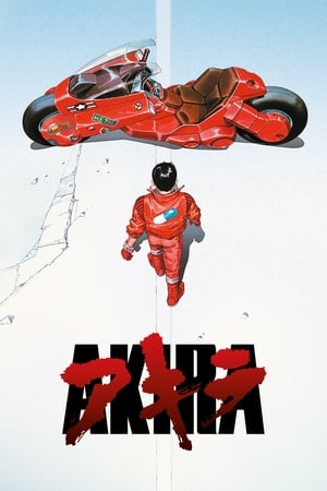 Akira 2016 Hindi Full Movie 720p Bluray [1.0GB]