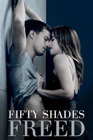 Fifty Shades Freed (2018) Hindi Dual Audio 720p BluRay [1GB]