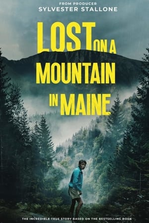 Lost on a Mountain in Maine 2024 Hindi Dubbed CAMRip 1080p