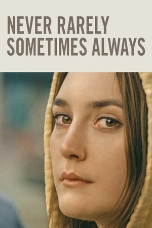 Never Rarely Sometimes Always (2020) Hindi Dual Audio HDRip 720p – 480p