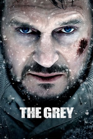 The Grey 2011 Hindi Dual Audio 720p BluRay [830MB]